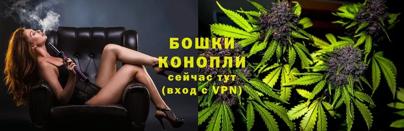 Канабис OG Kush  купить   Борисоглебск 